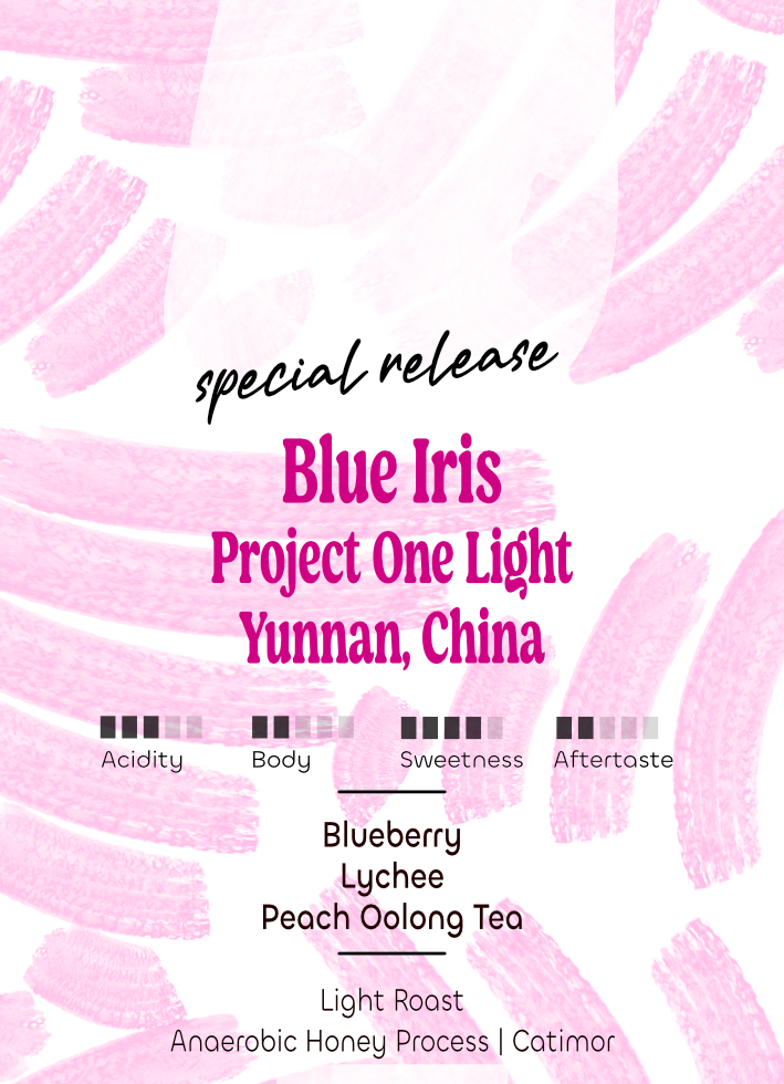 Blue Iris | Project One Light | Yunnan
