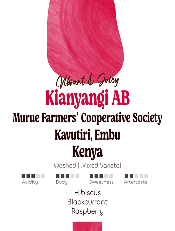 Kenya: Murue Farmers, Kianyangi Coffee Factory | Filter