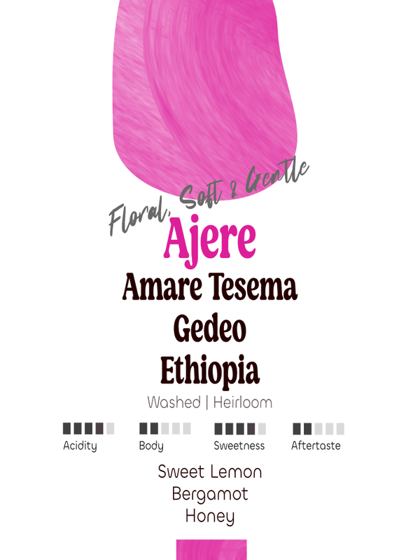 Ethiopia: Amare Tesema, Ajere