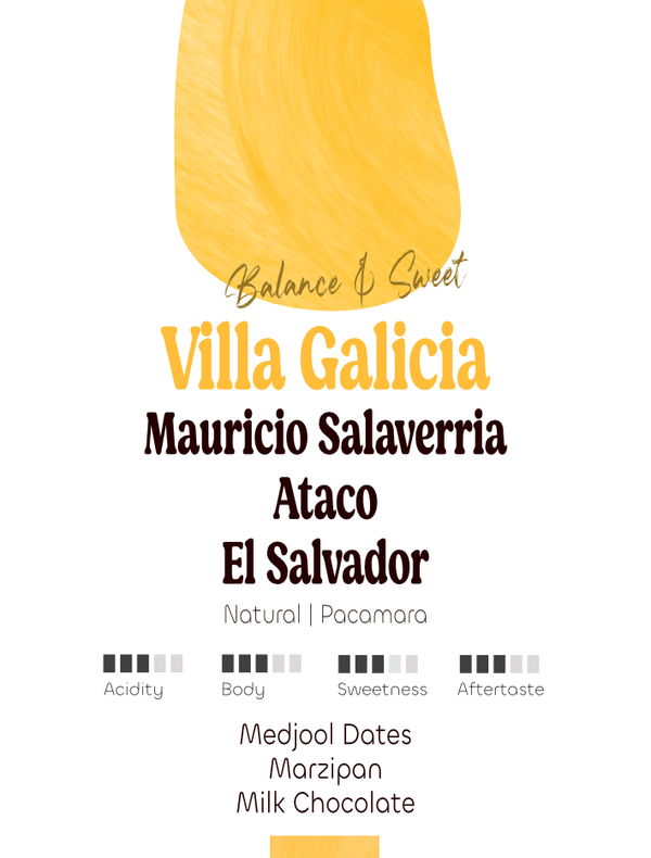 El Salvador: Mauricio Salaverria, Villa Galicia | Filter