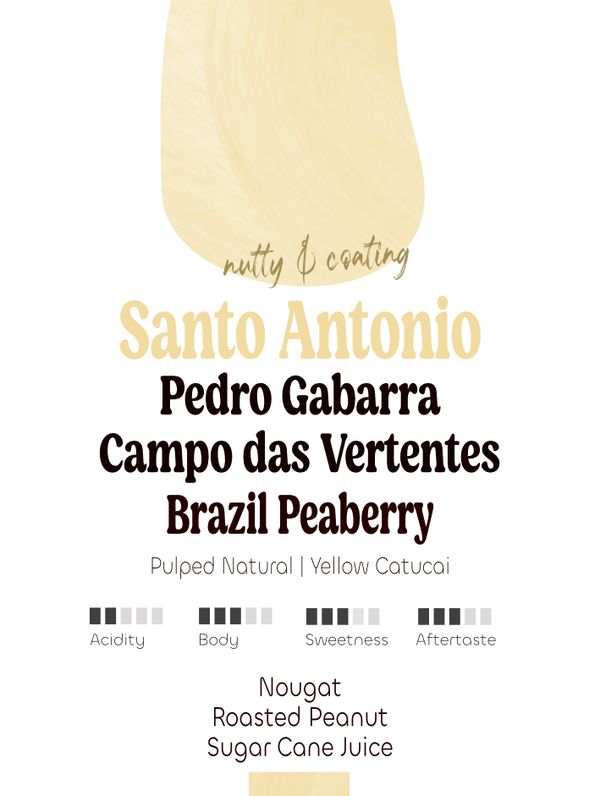 Brazil Peaberry: Pedro Gabarra, Santo Antonio