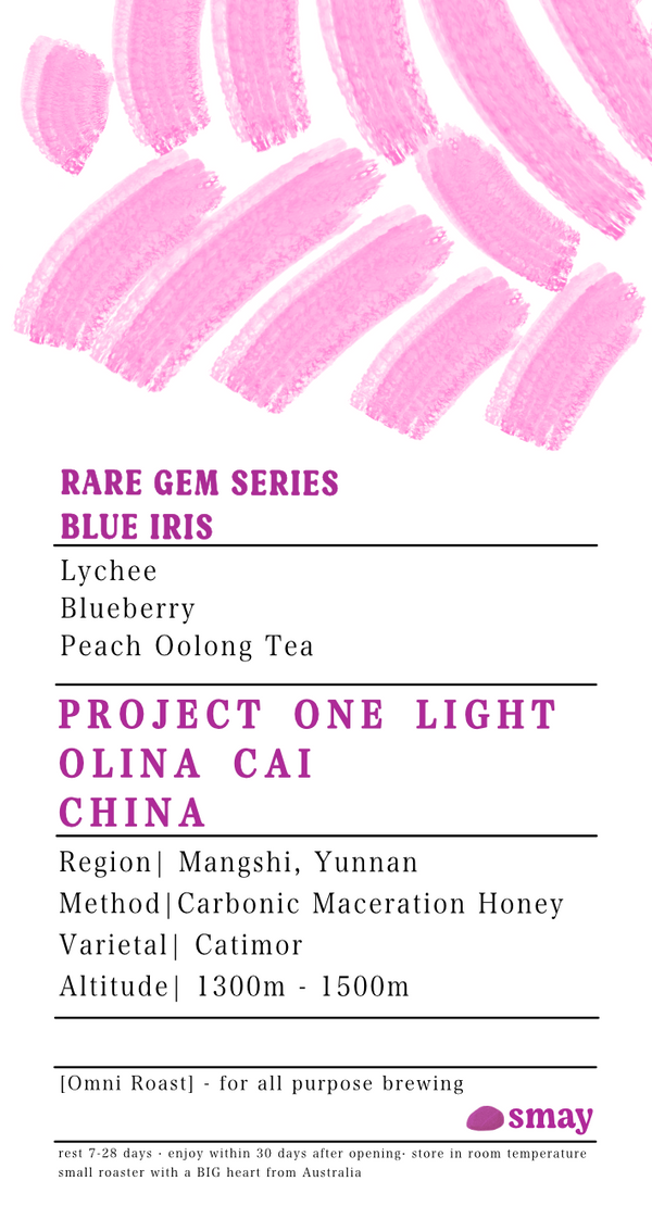 China: Olina Cai, Project One Light, Blue Iris