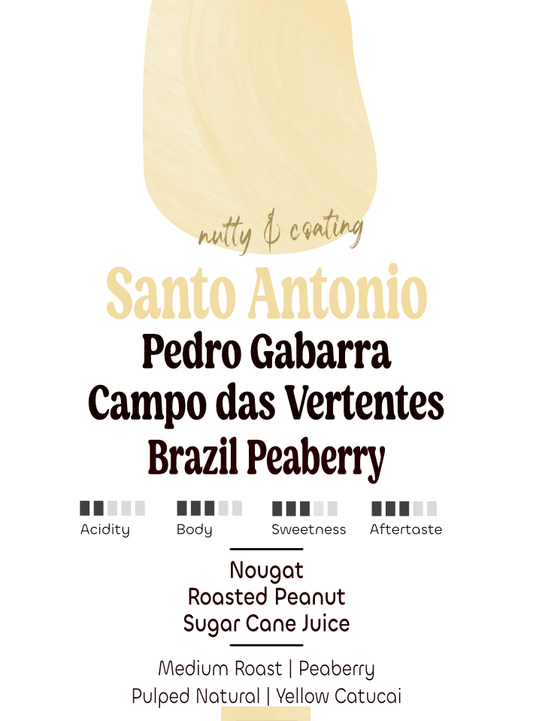 Santo Antonio | Pedro Gabarra | Brazil Peaberry