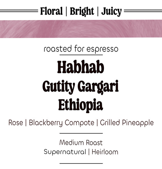 Habhab | Gutity Gargari | Ethiopia | Espresso