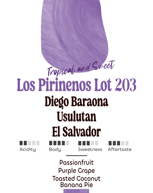 Los Pirinenos Lot 203 | Diego Barona | El Salvador