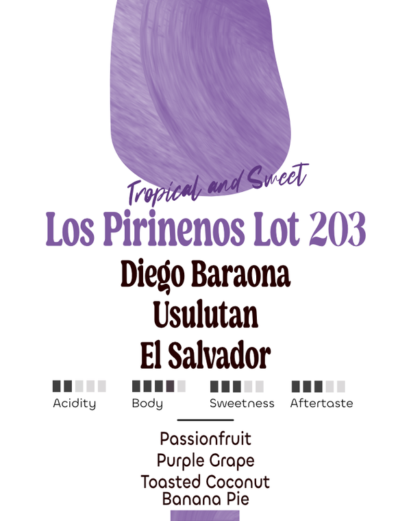 El Salvador: Diego Barona  | Los Pirinenos Lot 203 | Bourbon