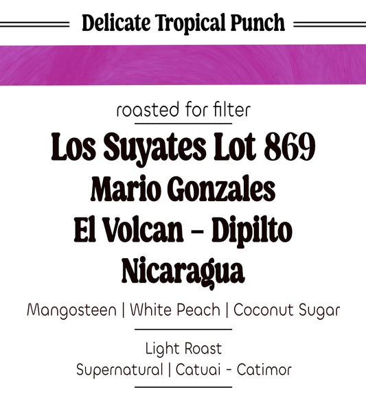 Los Suyates Lot 869 | Mario Gonzales | Nicaragua