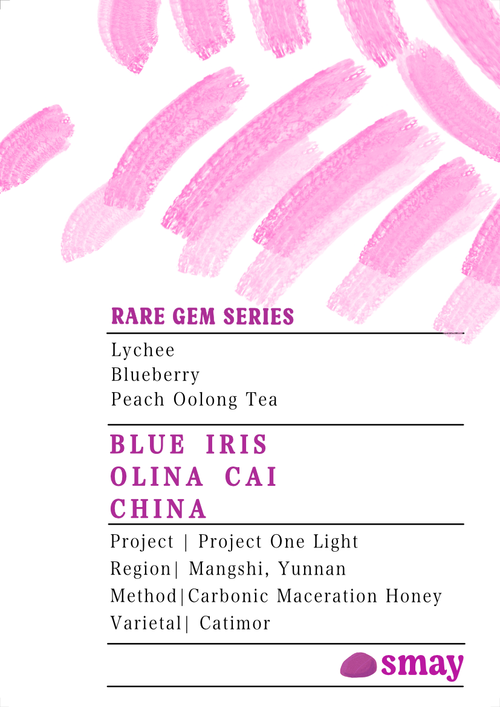 China: Olina Cai, Project One Light, Blue Iris