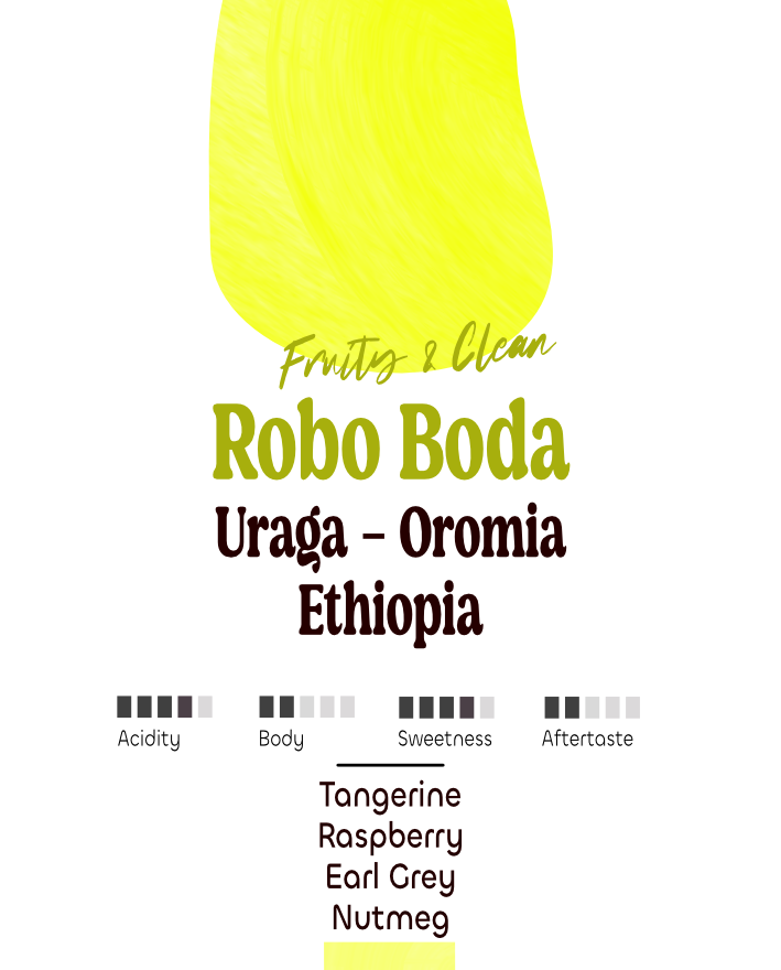 Ethiopia: Robo Boda