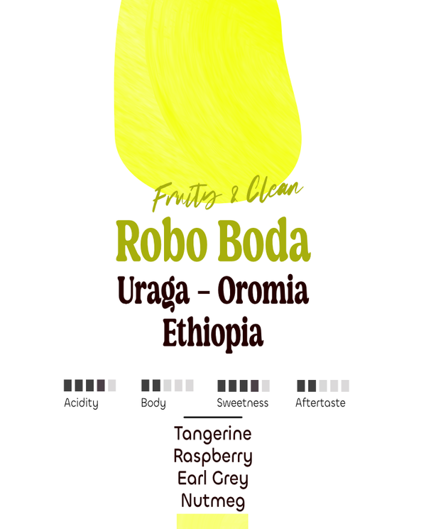 Ethiopia: Robo Boda