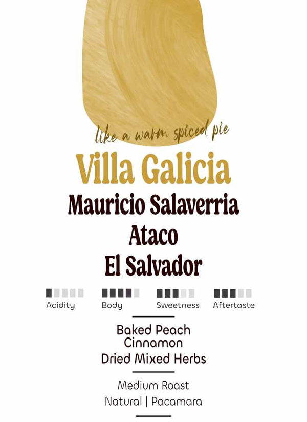 El Salvador: Mauricio Salaverria, Villa Galicia ◍