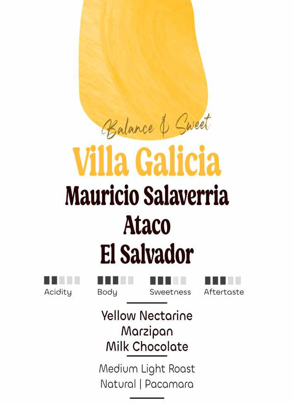 El Salvador: Mauricio Salaverria, Villa Galicia∆