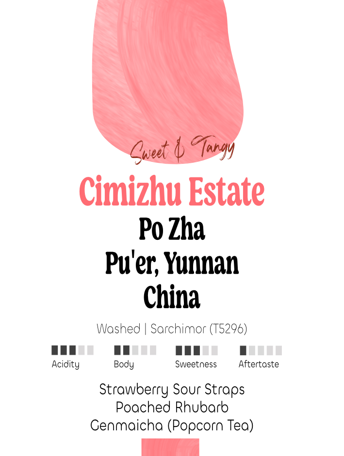 China: Po Zha, Cimizhu Estate | Filter