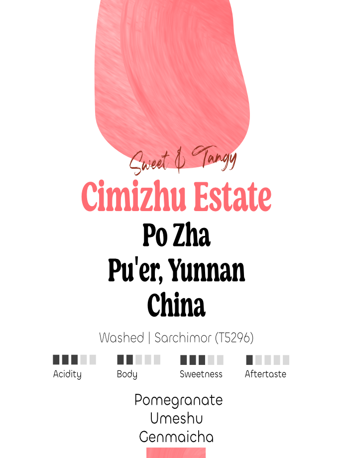 China: Po Zha, Cimizhu Estate | Filter