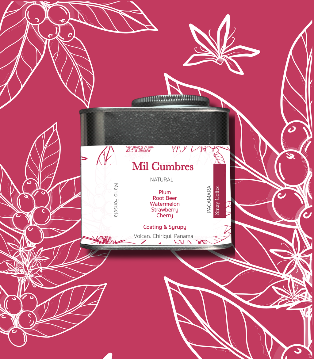 Panama Dream Collection