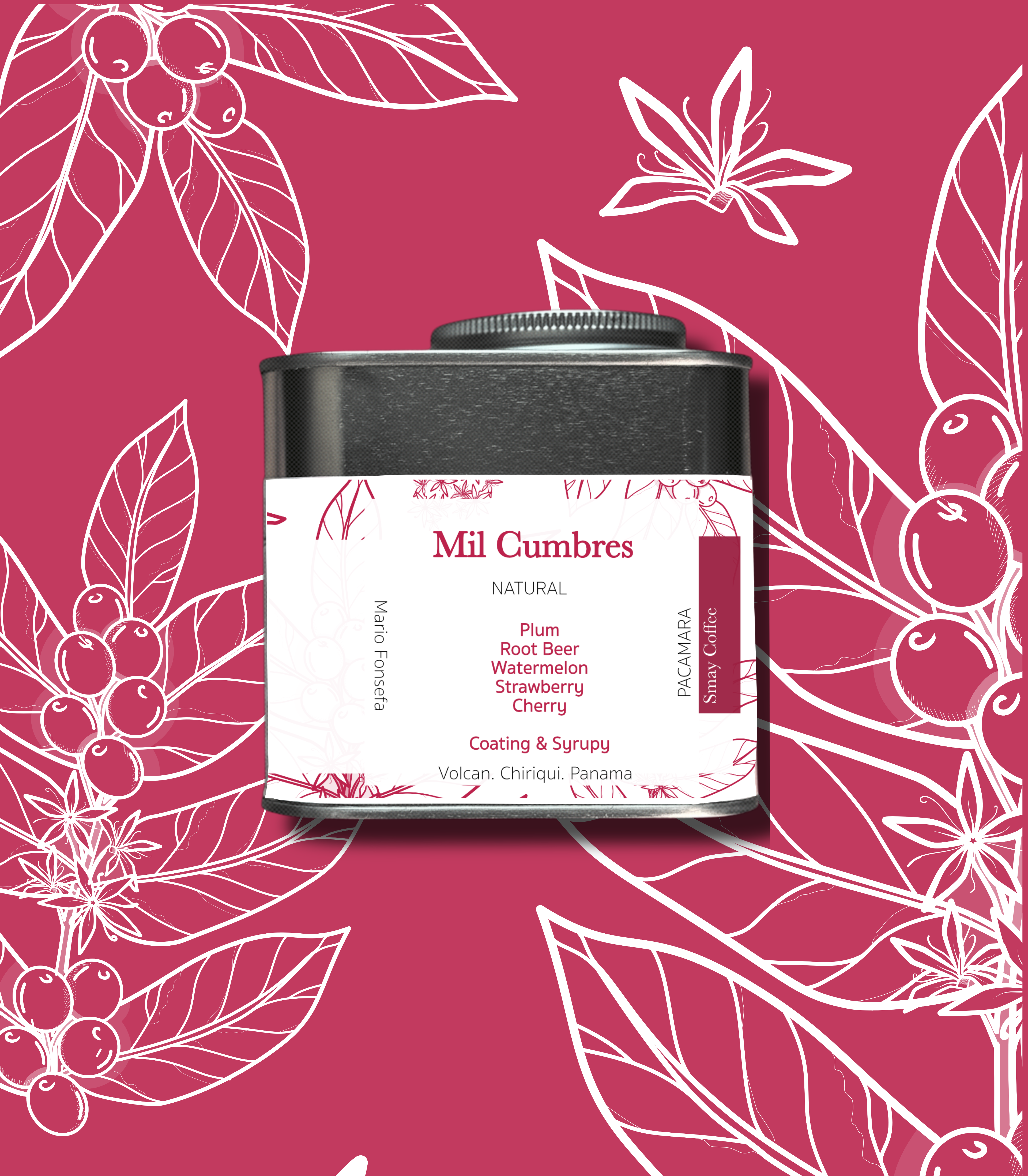 Panama Dream Collection