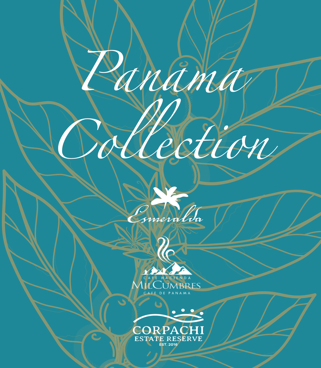 Panama Dream Collection