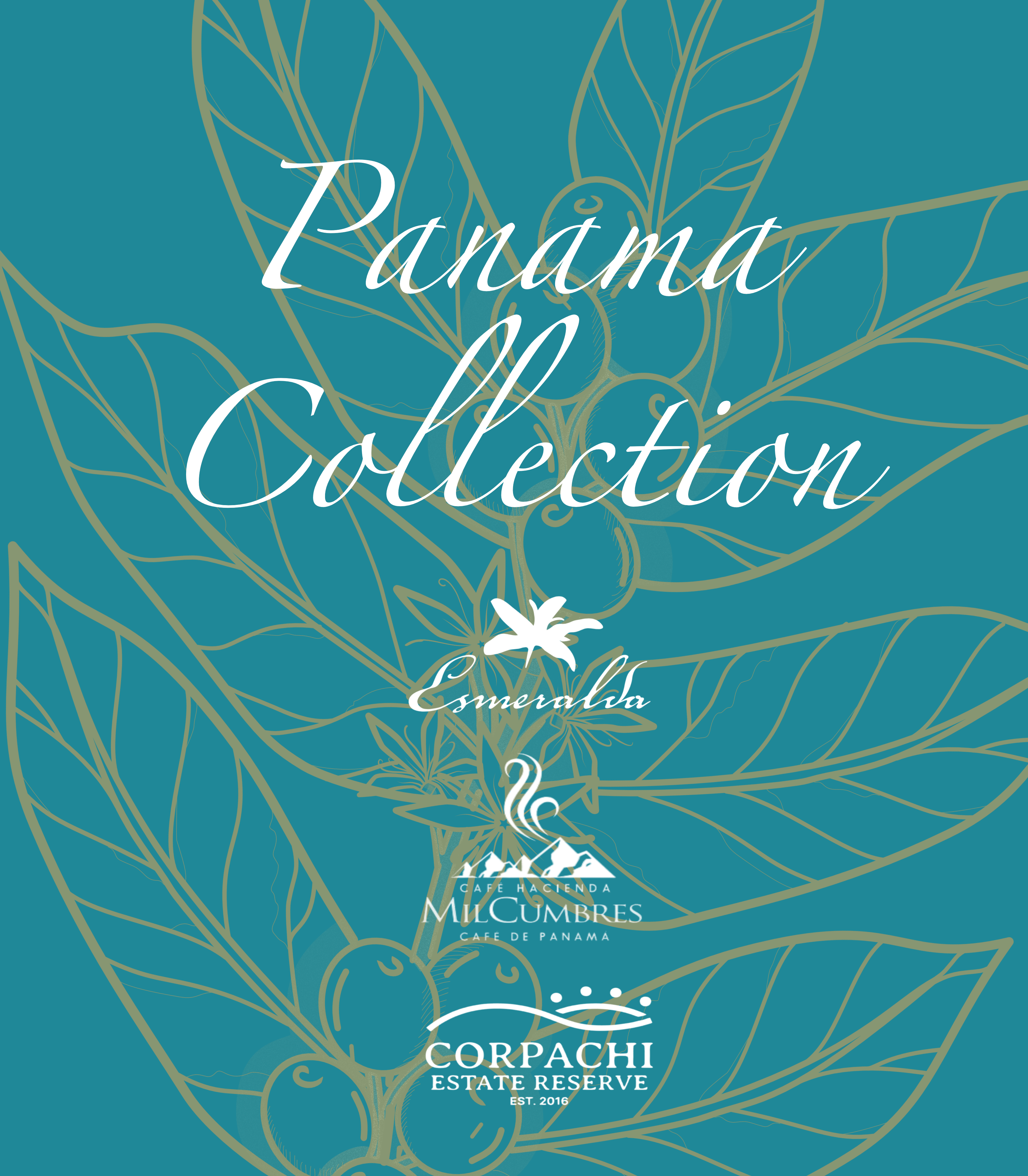 Panama Dream Collection