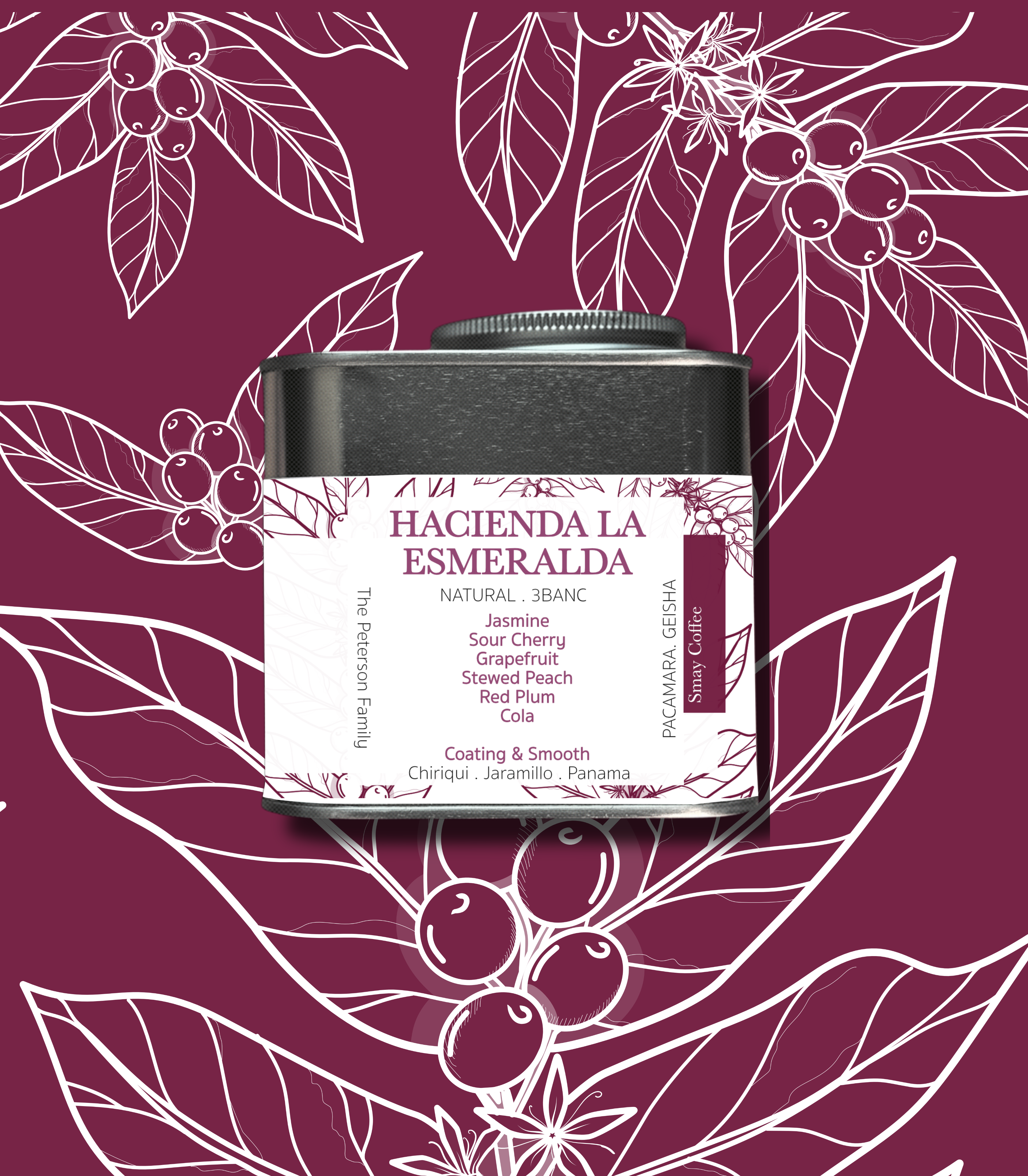 Panama Dream Collection