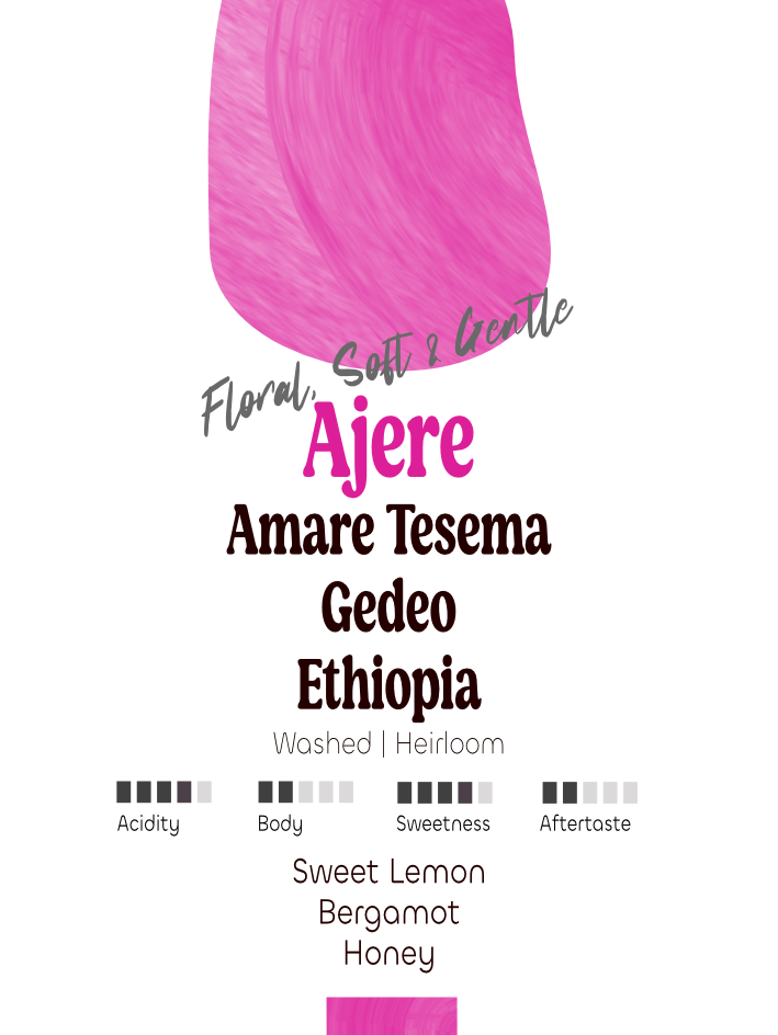 Ethiopia: Amare Tesema, Ajere