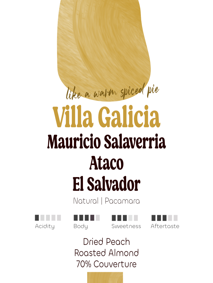 El Salvador: Mauricio Salaverria, Villa Galicia ℰ