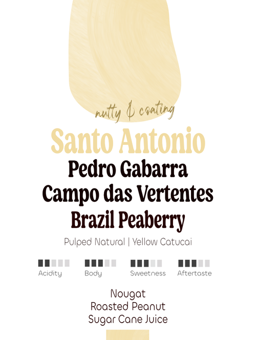 Brazil Peaberry: Pedro Gabarra, Santo Antonio