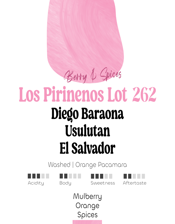 El Salvador: Diego Baraona, Los Pirinenos Lot 262 | Filter