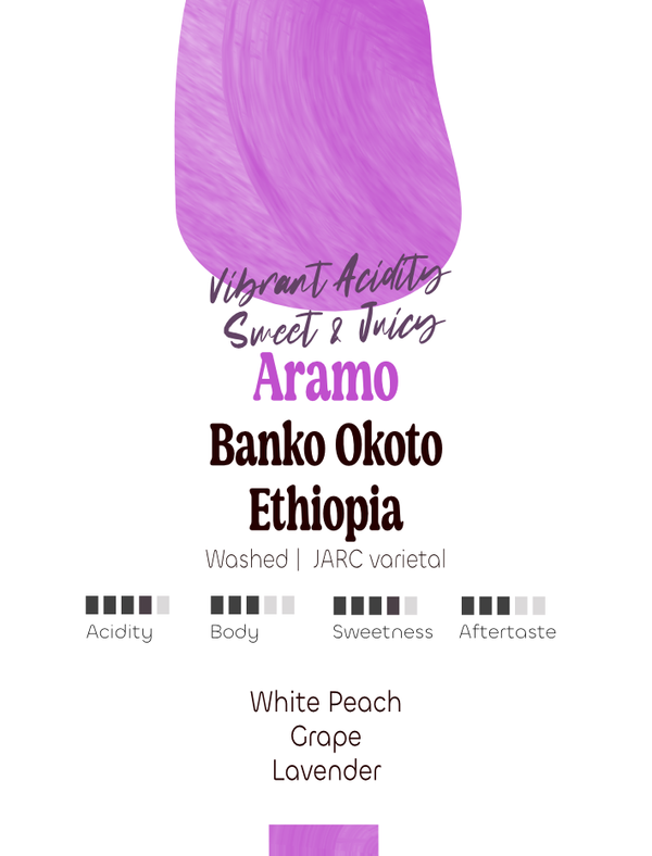 Ethiopia: Aramo, Banko Okoto