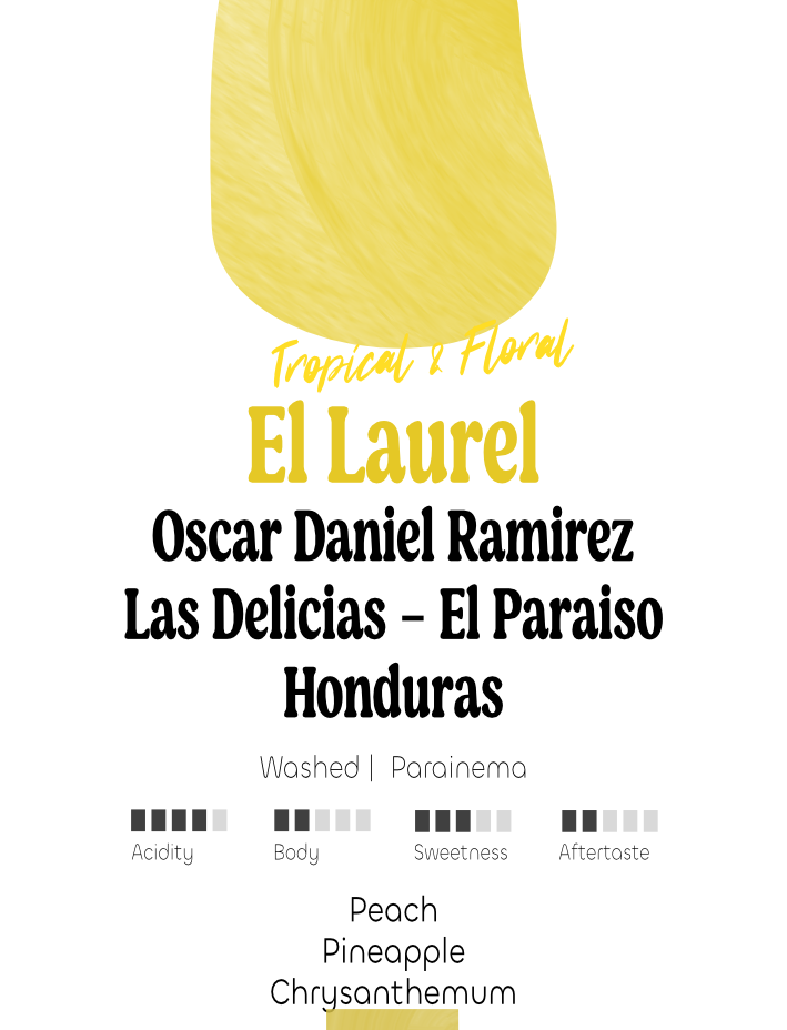 Honduras: Oscar Ramirez, El Laurel | Espresso