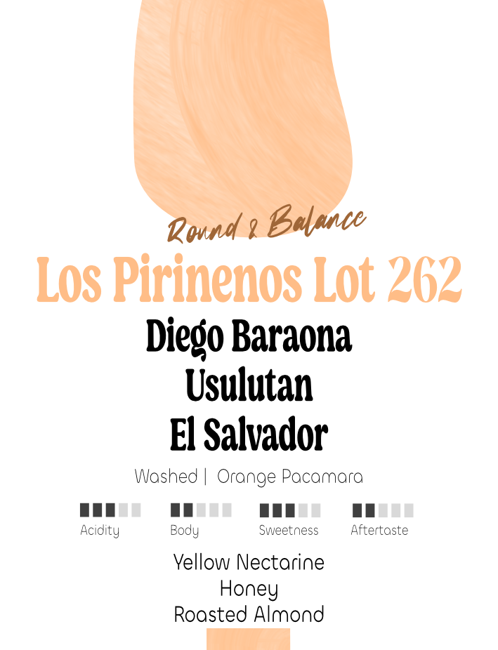 El Salvador: Diego Baraona, Los Pirinenos Lot 262 | Espresso